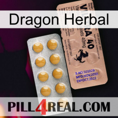 Dragon Herbal 41